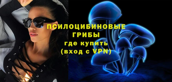 амф Михайловск