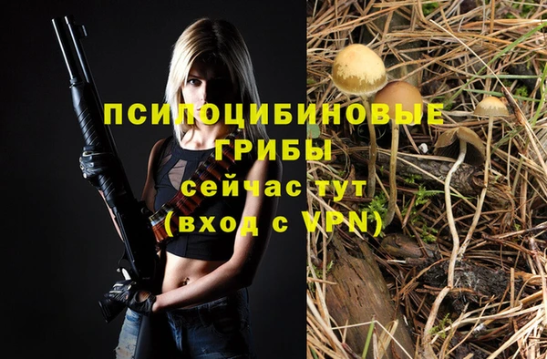 дмт Михайловка
