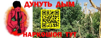 гидропоника Жуковский