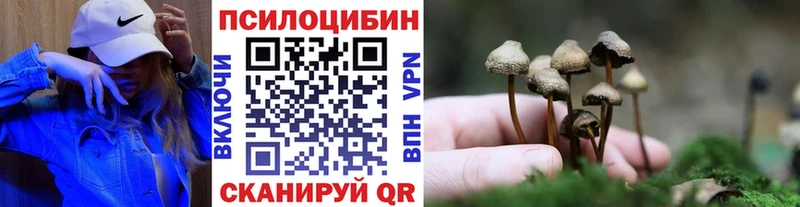 Псилоцибиновые грибы Psilocybe  Красноуфимск 