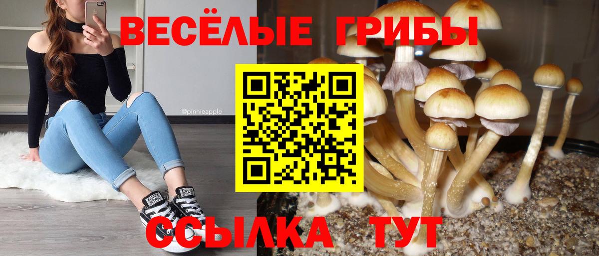 Красноуфимск  Псилоцибиновые грибы Psilocybine cubensis  Галлюциногенные грибы Cubensis  Вход с VPN 