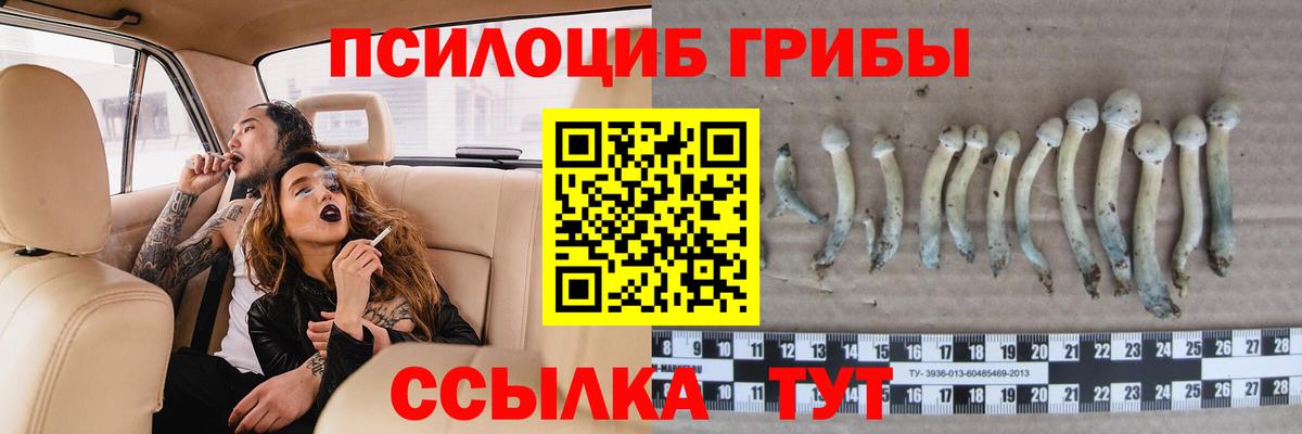 Псилоцибиновые грибы MAGIC MUSHROOMS Красноуфимск